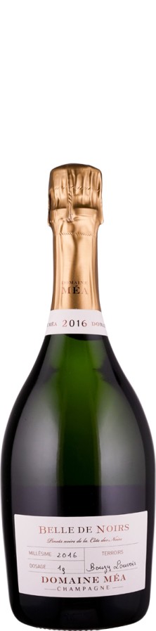 Champagne Millésime Blanc de Noirs extra brut Belle de Noirs 2016  - Domaine Méa