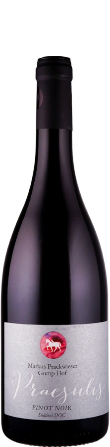 Pinot Noir Praesulis 2022  - Gump Hof - Markus Prackwieser